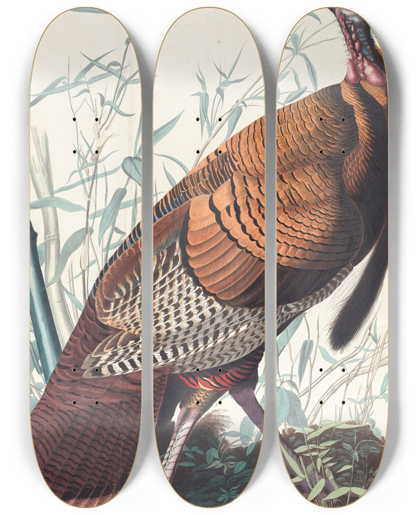 Triptych art skateboard deck of John James Audubon Great American Cock by John James Audubon (1785-1851)
