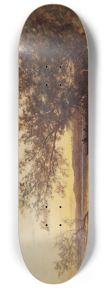 Flix Ziem - La Camargue, Coucher De Soleil 8.25 inch art skate deck