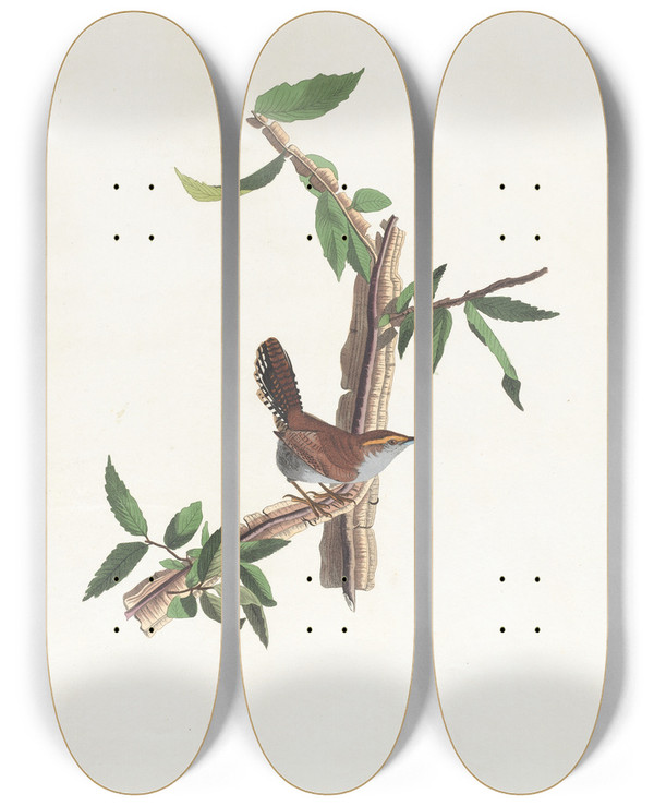 Triptych art skateboard deck of John James Audubon Bewicks Warbler by John James Audubon (1785-1851)