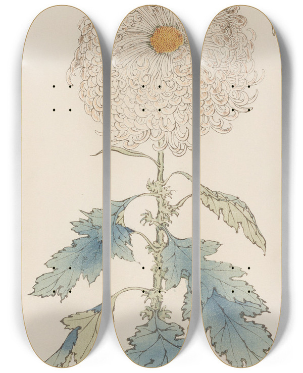 Triptych art skateboard deck of Keika Hasegawa Keika Hyakugiku Pl37 by Keika Hasegawa (1892-1905)