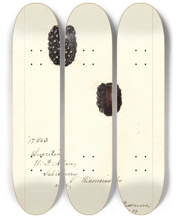 Triptych art skateboard deck of Deborah Griscom Passmore Rubus Lucretia by Deborah Griscom Passmore (1840-1911)