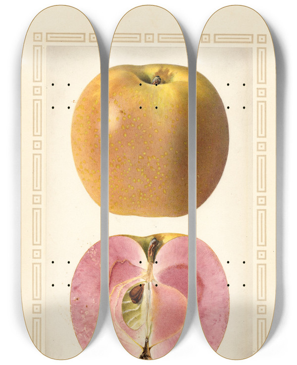 Triptych art skateboard deck of Royal Charles Steadman Malus Domestica by Royal Charles Steadman (1875-1964)