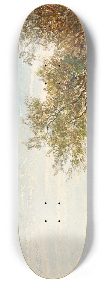 Flix Ziem - Venise, Mazzorbo 8.25 inch art skate deck