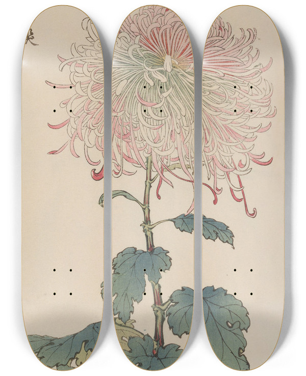 Triptych art skateboard deck of Keika Hasegawa Keika Hyakugiku Pl36 by Keika Hasegawa (1892-1905)