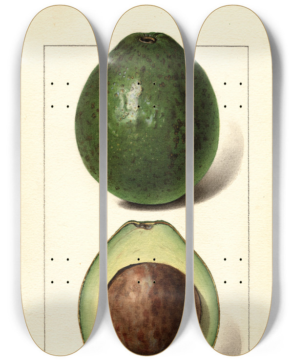 Triptych art skateboard deck of Royal Charles Steadman Persea Wagner by Royal Charles Steadman (1875-1964)