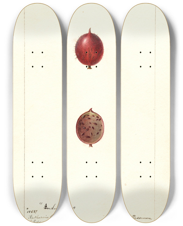 Triptych art skateboard deck of Deborah Griscom Passmore Ribes Industry by Deborah Griscom Passmore (1840-1911)