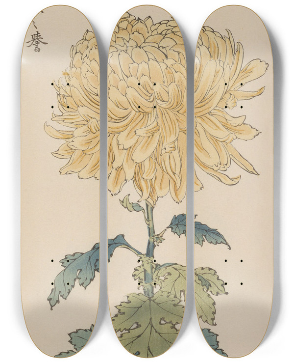 Triptych art skateboard deck of Keika Hasegawa Keika Hyakugiku Pl33 by Keika Hasegawa (1892-1905)