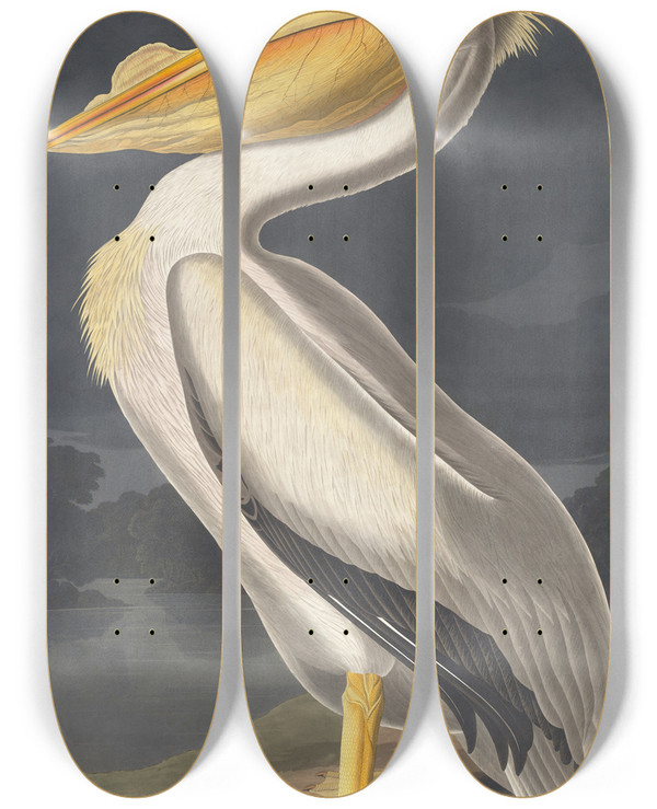 Triptych art skateboard deck of John James Audubon American White Pelican by John James Audubon (1785-1851)
