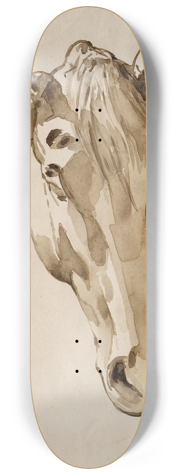 Floris Verster - Head of a horse 8.25 inch art skate deck