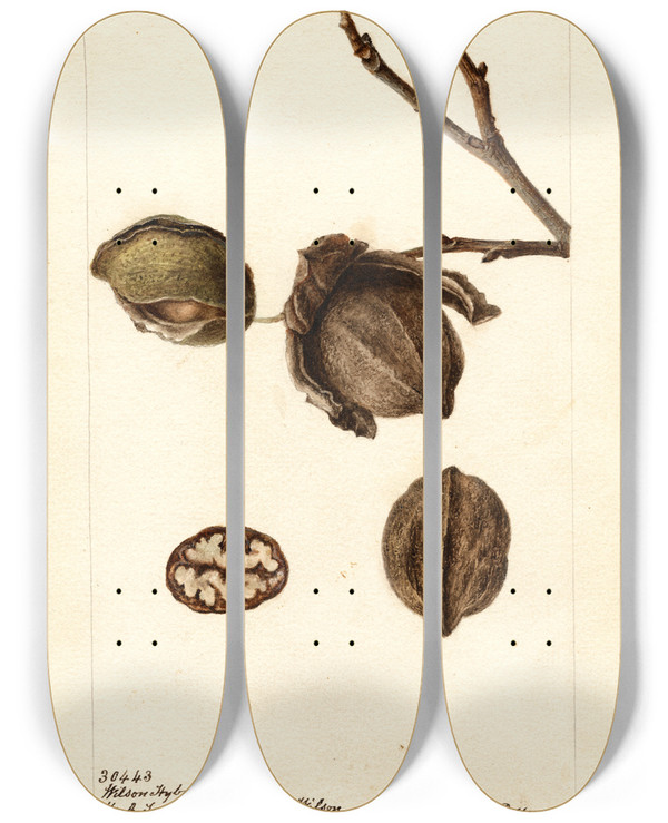 Triptych art skateboard deck of Deborah Griscom Passmore Carya Wilson Hybrid by Deborah Griscom Passmore (1840-1911)