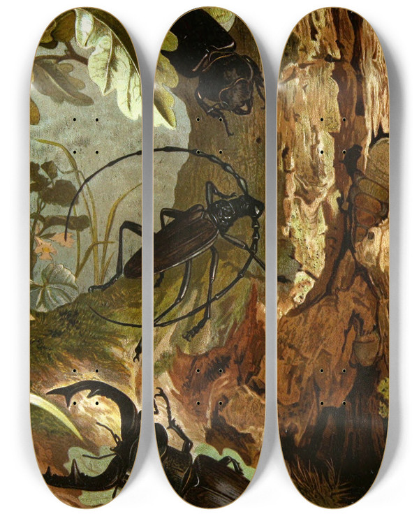 Triptych art skateboard deck of Alfred Edmund Brehm Die Insekten Tausendfussler Und Spinnen Pl 05 by Alfred Edmund Brehm (1829-1884)