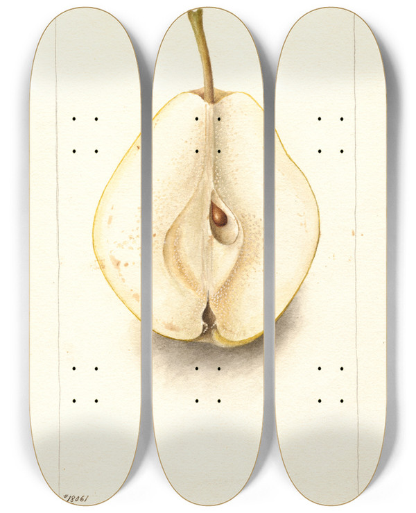 Triptych art skateboard deck of Deborah Griscom Passmore Pyrus Communis Rossney by Deborah Griscom Passmore (1840-1911)