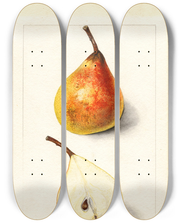 Triptych art skateboard deck of Mary Daisy Arnold Pyrus Communis Worden Seckel by Mary Daisy Arnold (1873-1955)