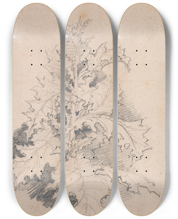 Triptych art skateboard deck of James Ward Study Of A Thistle by James Ward (1769-1859)