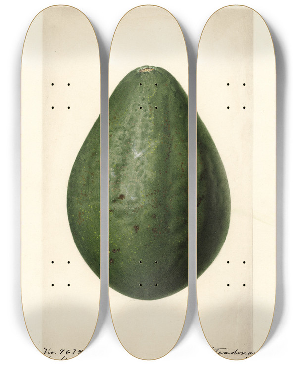 Triptych art skateboard deck of Royal Charles Steadman Persea Taft by Royal Charles Steadman (1875-1964)