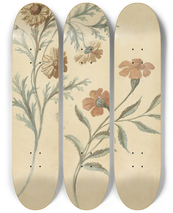 Triptych art skateboard deck of Elias Van Nijmegen Bloemstudie Van Een Rode En Een Bruine Bloem by Elias Van Nijmegen (1667-1755)