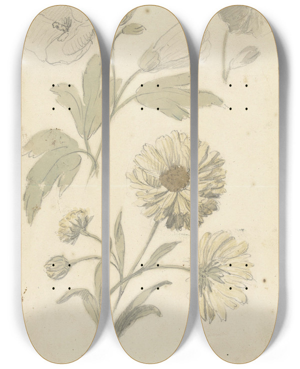 Triptych art skateboard deck of Elias Van Nijmegen Studies Van Zonnebloemen En Dialtia by Elias Van Nijmegen (1667-1755)