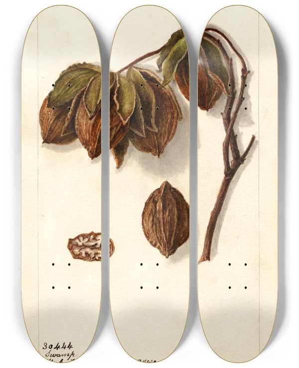 Triptych art skateboard deck of Deborah Griscom Passmore Carya Swamp by Deborah Griscom Passmore (1840-1911)
