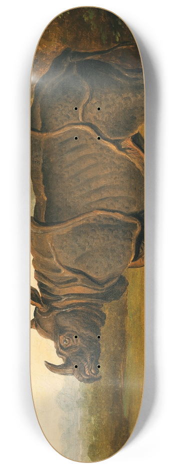 Follower of Jean-Baptiste Oudry - The Rhinoceros Clara 8.25 inch art skate deck