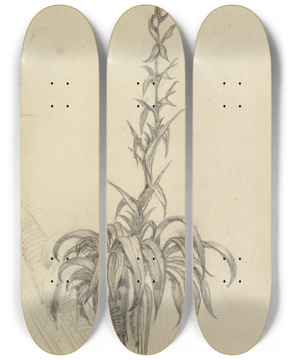 Triptych art skateboard deck of Ferdinand Keller Pflanzenstudie Am Ast I by Ferdinand Keller (1842-1922)