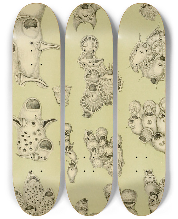 Triptych art skateboard deck of Frederick Mccoy Polyzoa Viii by Frederick Mccoy (1817-1899)
