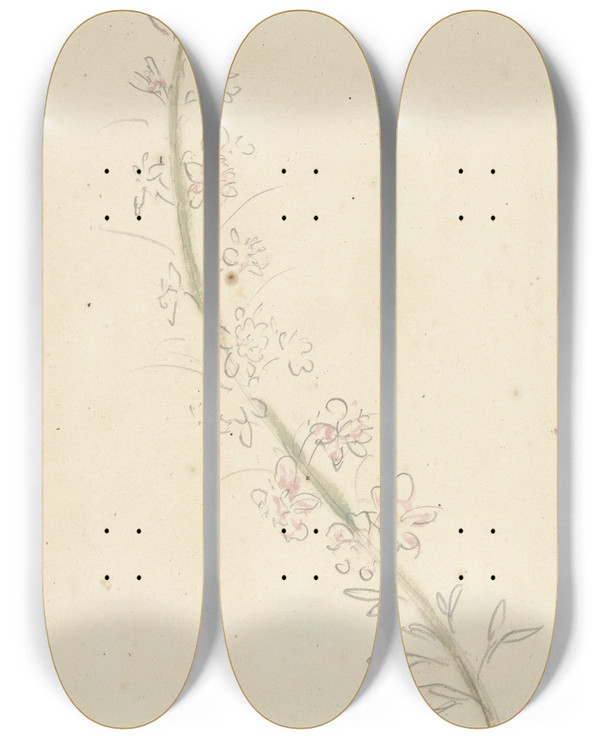 Triptych art skateboard deck of Elias Van Nijmegen Ridderspoor by Elias Van Nijmegen (1667-1755)