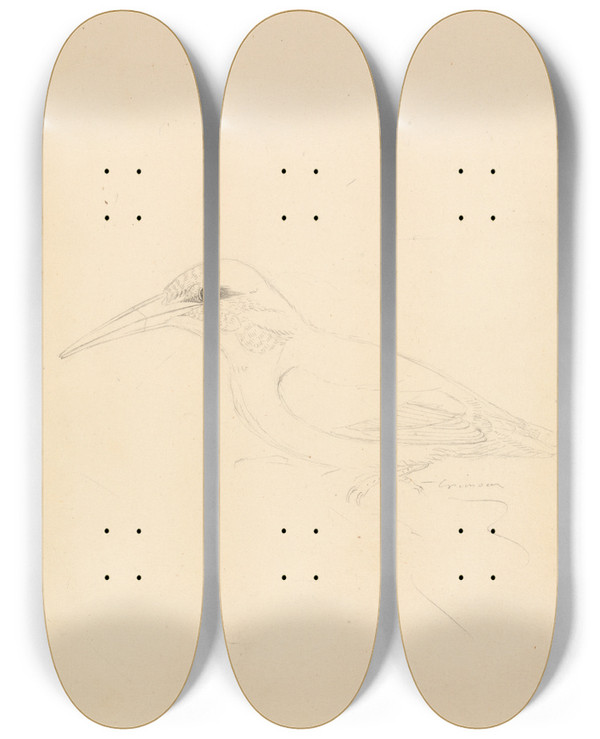 Triptych art skateboard deck of James Sowerby A Kingfisher by James Sowerby (1757-1822)