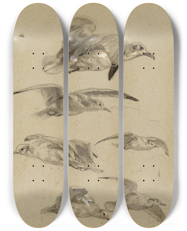 Triptych art skateboard deck of Flix Bracquemond Mouettes_1 by Felix Bracquemond (1833-1914)
