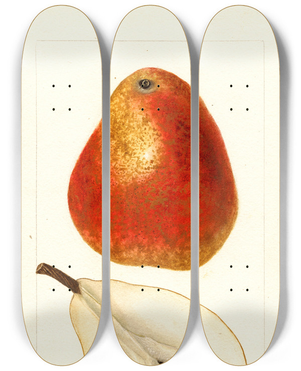 Triptych art skateboard deck of Deborah Griscom Passmore Pyrus Communis Ogerean by Deborah Griscom Passmore (1840-1911)