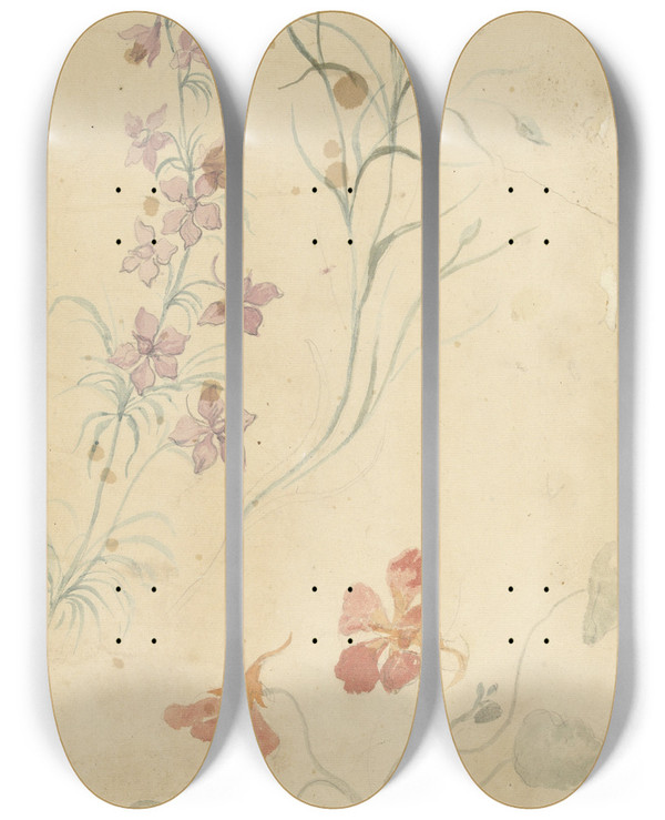 Triptych art skateboard deck of Elias Van Nijmegen Studies Van Ridderspoor Anjer En Oostindische Kers by Elias Van Nijmegen (1667-1755)