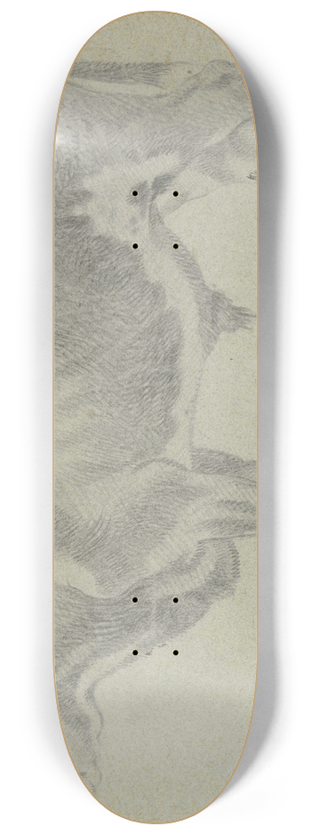 Francesco Londonio - Ox looking to the left 8.25 inch art skate deck