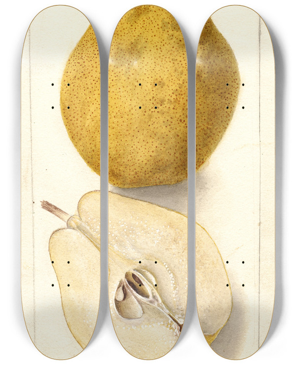 Triptych art skateboard deck of Deborah Griscom Passmore Pyrus Communis Kieffer_1 by Deborah Griscom Passmore (1840-1911)