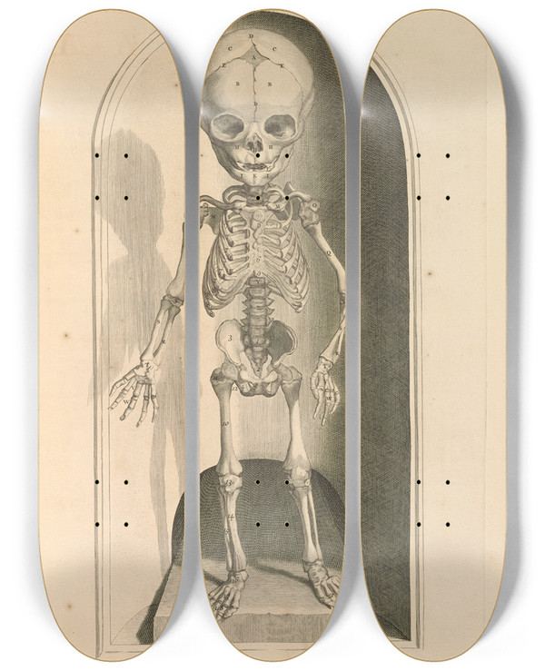 Triptych art skateboard deck of Gerard De Lairesse Anatomia Humani Corporis Pl102 by Gerard de Lairesse (1641-1711)