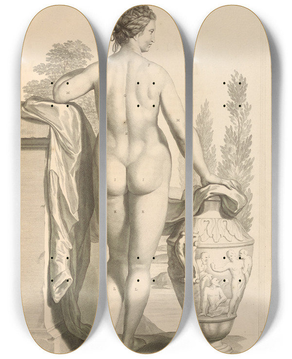 Triptych art skateboard deck of Gerard De Lairesse Anatomia Humani Corporis Pl004 by Gerard de Lairesse (1641-1711)