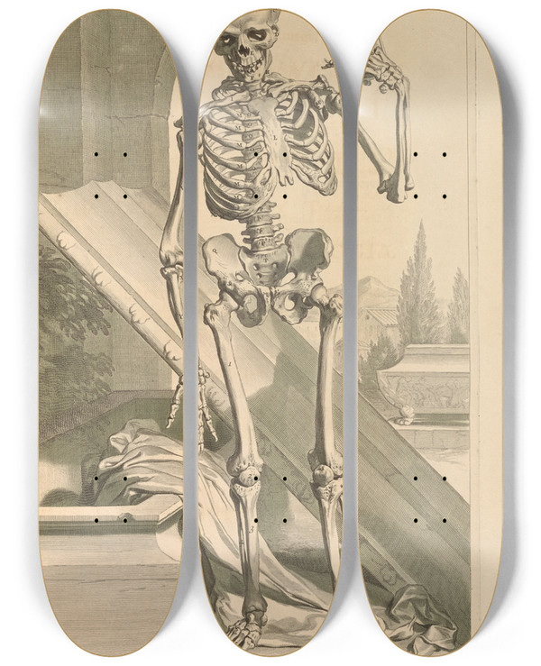 Triptych art skateboard deck of Gerard De Lairesse Anatomia Humani Corporis Pl088 by Gerard de Lairesse (1641-1711)