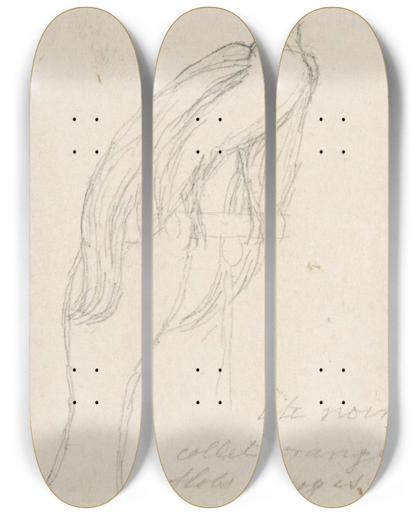 Triptych art skateboard deck of Charles Meryon A Bird Of Paradise by Charles Meryon (1821-1868)