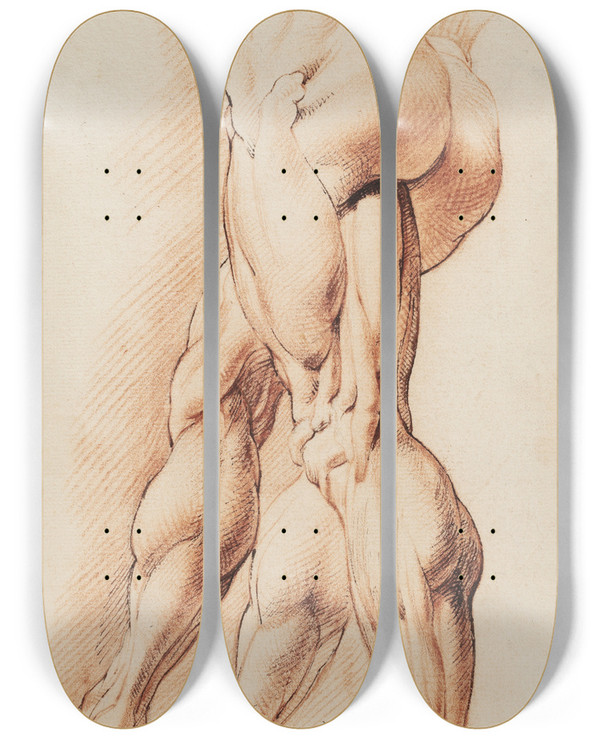 Triptych art skateboard deck of Willem Panneels Anatomisk Studie Af En Flet Mands Venstre Ben Set Fra Venstre Og Hans Hjre Ben I To Forskellige Positioner Corch by Willem Panneels (1600-1634)