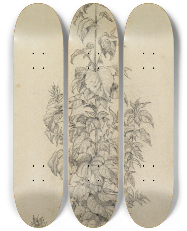 Triptych art skateboard deck of Ferdinand Keller Pflanzenstudie X Schmal Hochragende Pflanze by Ferdinand Keller (1842-1922)