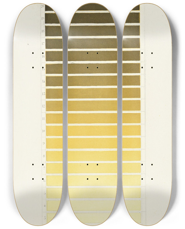 Triptych art skateboard deck of Michel Eugne Chevreul Des Couleurs Et De Leurs Applications Aux Arts Industriels A Laide Des Cercles Chromatiques Pl 19 by Michel Eugene Chevreul (1786-1889)