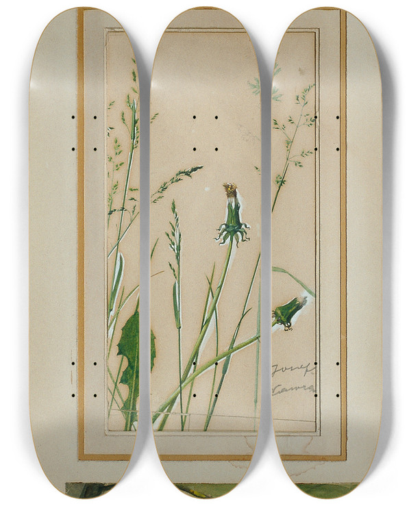 Triptych art skateboard deck of Josef Wawra Studien Nach Der Natur_1 by Josef Wawra (1893-1935)