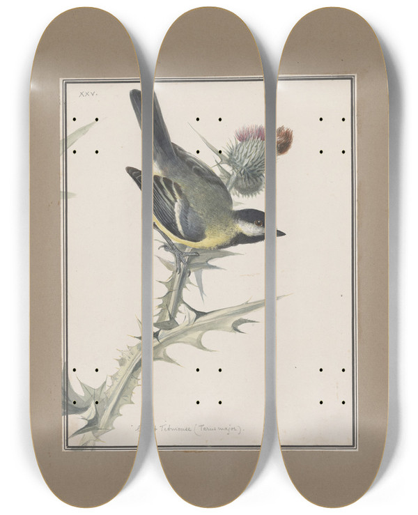 Triptych art skateboard deck of John William Lewin Original Watercolour Drawings Of Birds And Eggs Pl25 by John William Lewin (1770-1819)