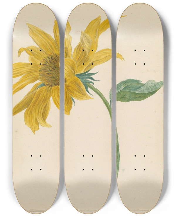 Triptych art skateboard deck of Michiel Van Huysum Tak Met Een Zonnebloem by Michiel Van Huysum (1703-1777)