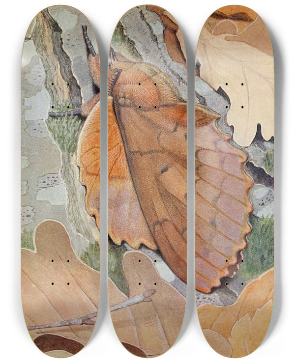 Triptych art skateboard deck of Paulandre Robert La Feuillemorte Du Chne by Paul-Andre Robert (1901-1977)