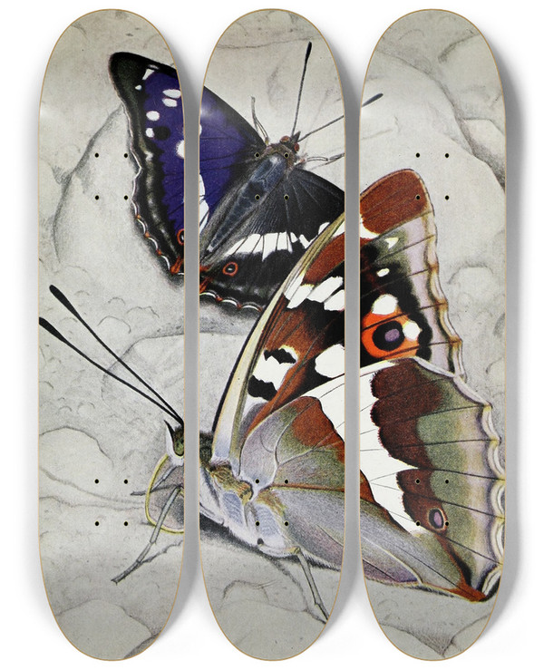 Triptych art skateboard deck of Paulandre Robert Le Grand Mars Changeant by Paul-Andre Robert (1901-1977)
