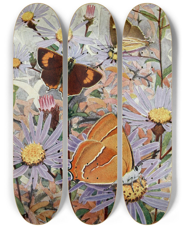 Triptych art skateboard deck of Paulandre Robert La Thcla Du Bouleau by Paul-Andre Robert (1901-1977)