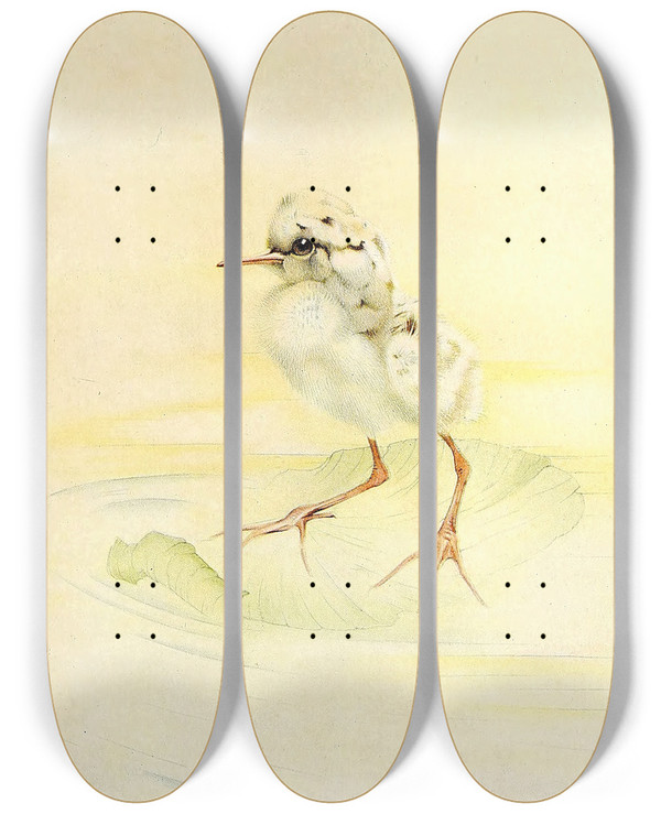 Triptych art skateboard deck of Edward Julius Detmold The Redshank by Edward Julius Detmold (1883-1957)