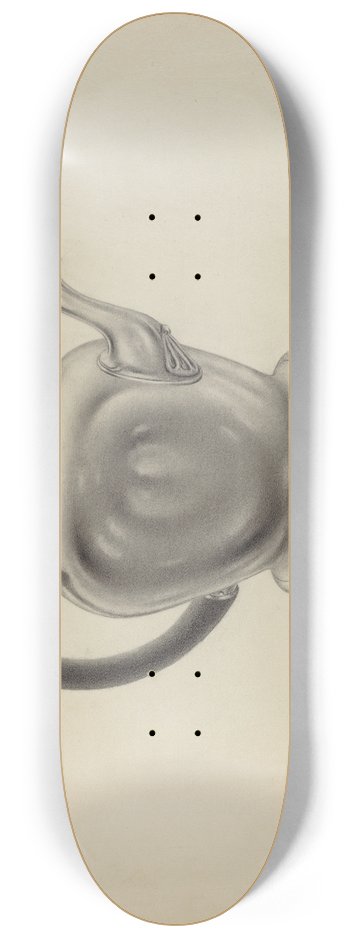 Aaron Fastovsky - Silver Teapot 8.25 inch art skate deck