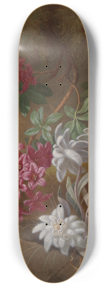 Adele Schuster - Alpenblumen 8.25 inch art skate deck