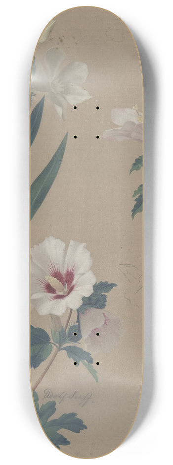 Adolf Senff - Study of Hibiscus Plants 8.25 inch art skate deck