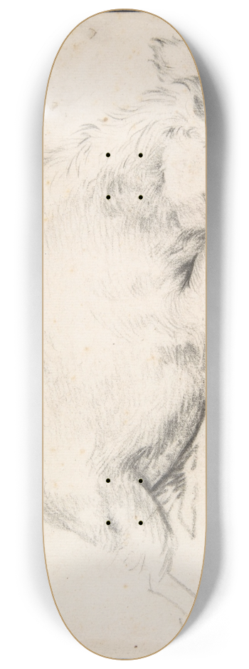 Adriaen van de Velde - A Sleeping Swine 8.25 inch art skate deck